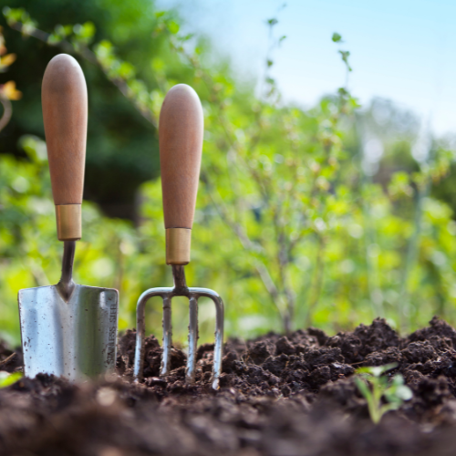 Event image Gardener in Residence @ The Library
